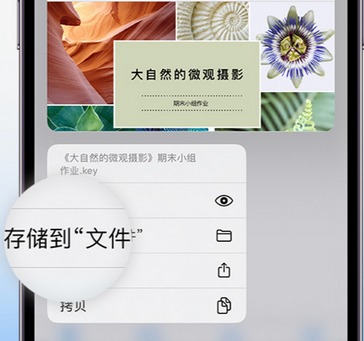 商丘apple维修中心分享iPhone文件应用中存储和找到下载文件