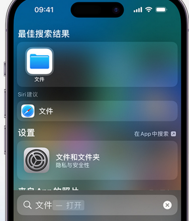 商丘apple维修中心分享iPhone文件应用中存储和找到下载文件 