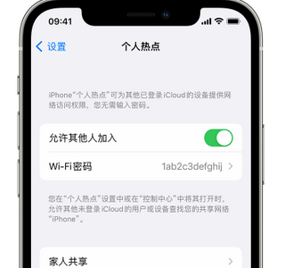 商丘apple服务站点分享iPhone上个人热点丢失了怎么办 