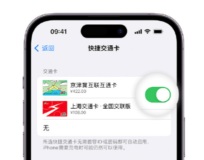 商丘apple维修点分享iPhone上更换Apple Pay快捷交通卡手绘卡面 