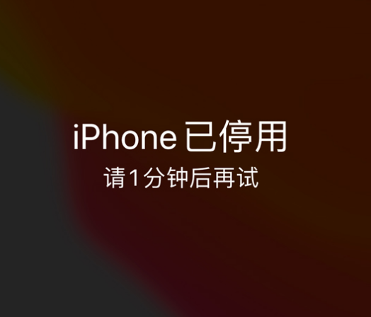 商丘苹果手机维修分享:iPhone 显示“不可用”或“已停用”怎么办？还能保留数据吗？ 