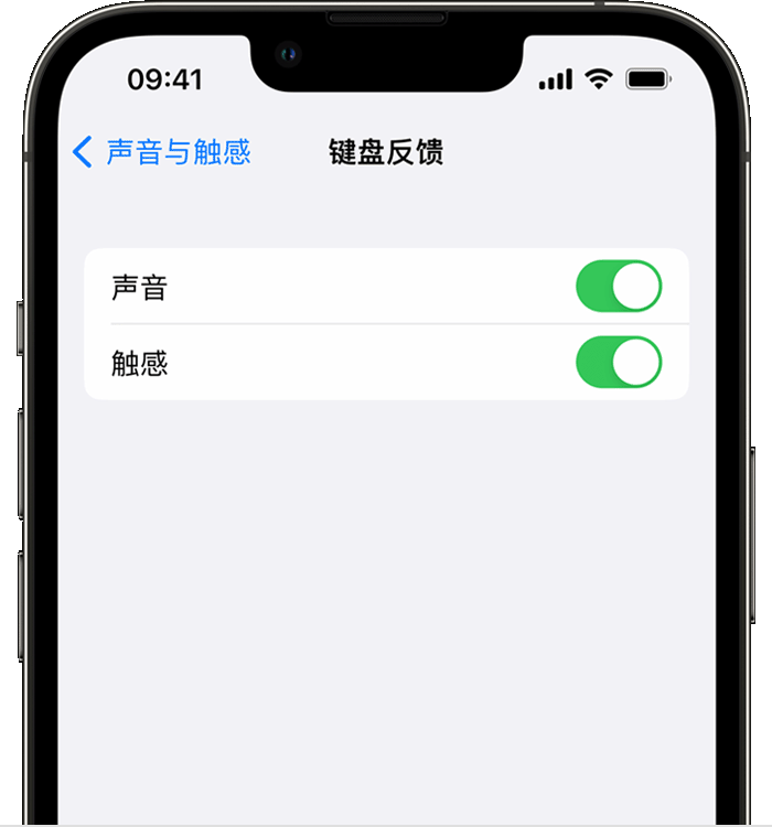 商丘苹果14维修店分享如何在 iPhone 14 机型中使用触感键盘 