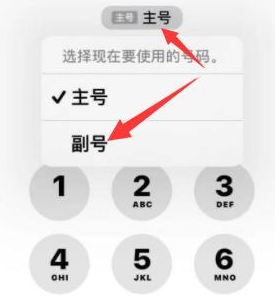 商丘苹果14维修店分享iPhone 14 Pro Max使用副卡打电话的方法 