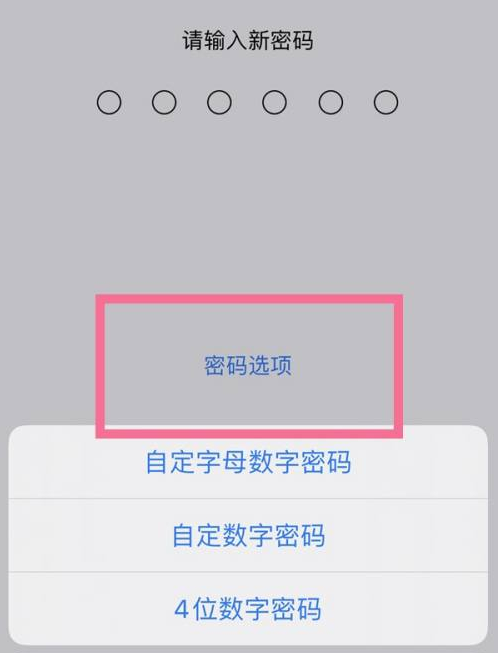 商丘苹果14维修分享iPhone 14plus设置密码的方法 