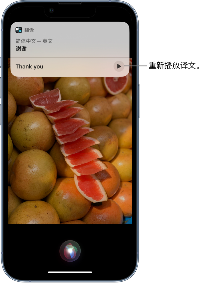 商丘苹果14维修分享 iPhone 14 机型中使用 Siri：了解 Siri 能帮你做什么 