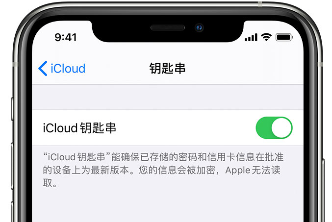 商丘苹果手机维修分享在 iPhone 上开启 iCloud 钥匙串之后会储存哪些信息 