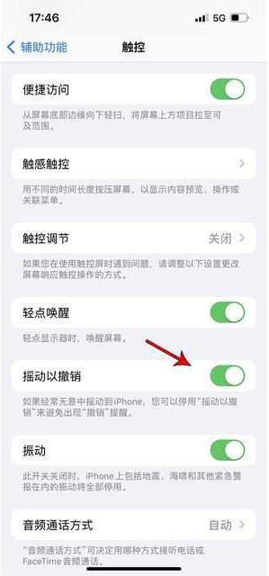 商丘苹果手机维修分享iPhone手机如何设置摇一摇删除文字 